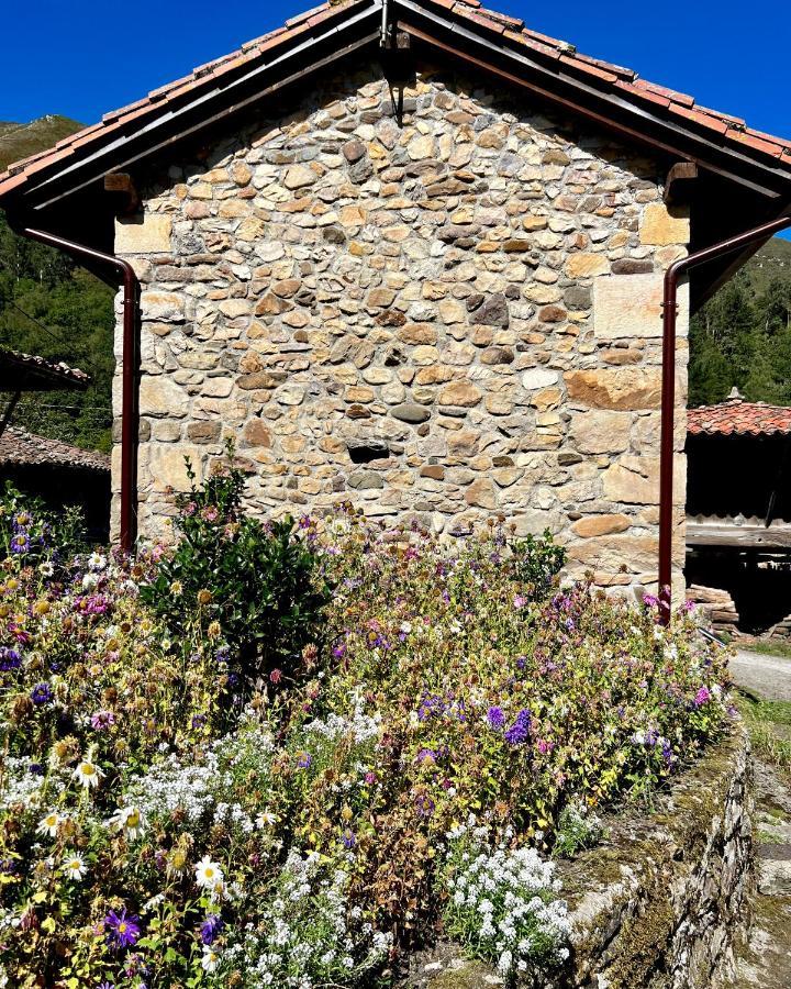 Villa La Casita De Olivia Espinaredo La Villa Exterior foto
